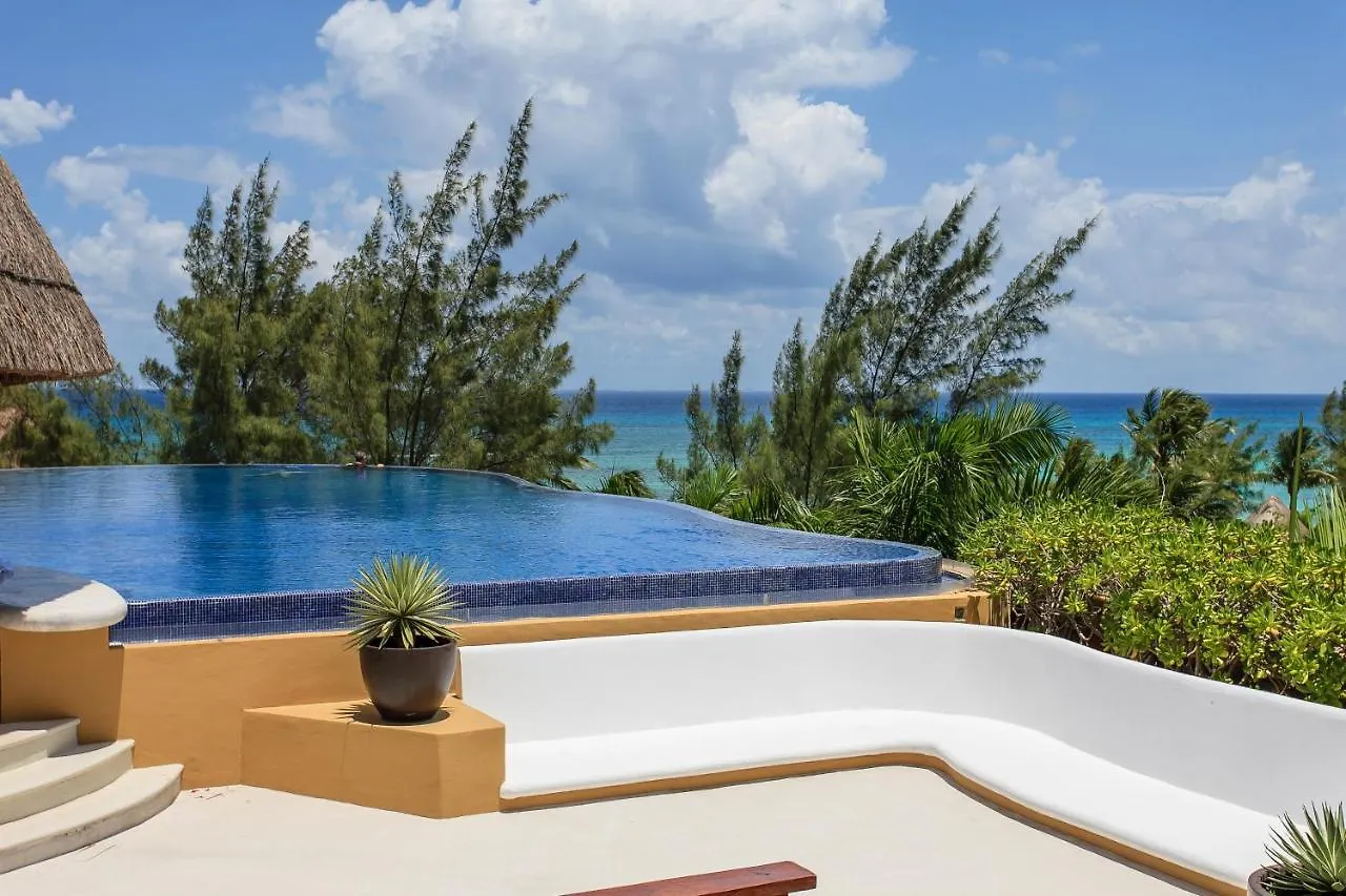 公寓 2 Bedroom Ph Private Mini Pool And Terrace 普拉亚卡门